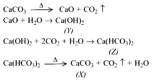 AIPMT 2004 Chemistry - s-Block Elements Question 20 English Explanation