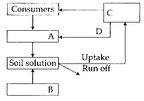 AIPMT 2014 Biology - Ecosystem Question 72 English
