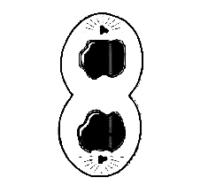 NEET 2013 Biology - Cell Cycle and Cell Division Question 49 English