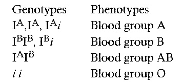 AIPMT 2010 Prelims Biology - Principles of Inheritance and Variation Question 138 English Explanation
