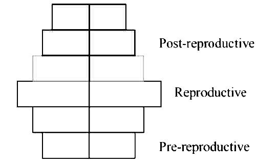 AIPMT 2011 Prelims Biology - Organisms and Populations Question 69 English