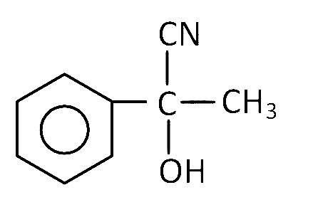 AIPMT 2005 Chemistry - Aldehydes, Ketones and Carboxylic Acids Question 52 English Option 2
