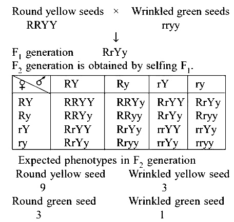 AIPMT 2006 Biology - Principles of Inheritance and Variation Question 114 English Explanation
