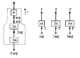 NEET 2013 Physics - Laws of Motion Question 25 English Explanation
