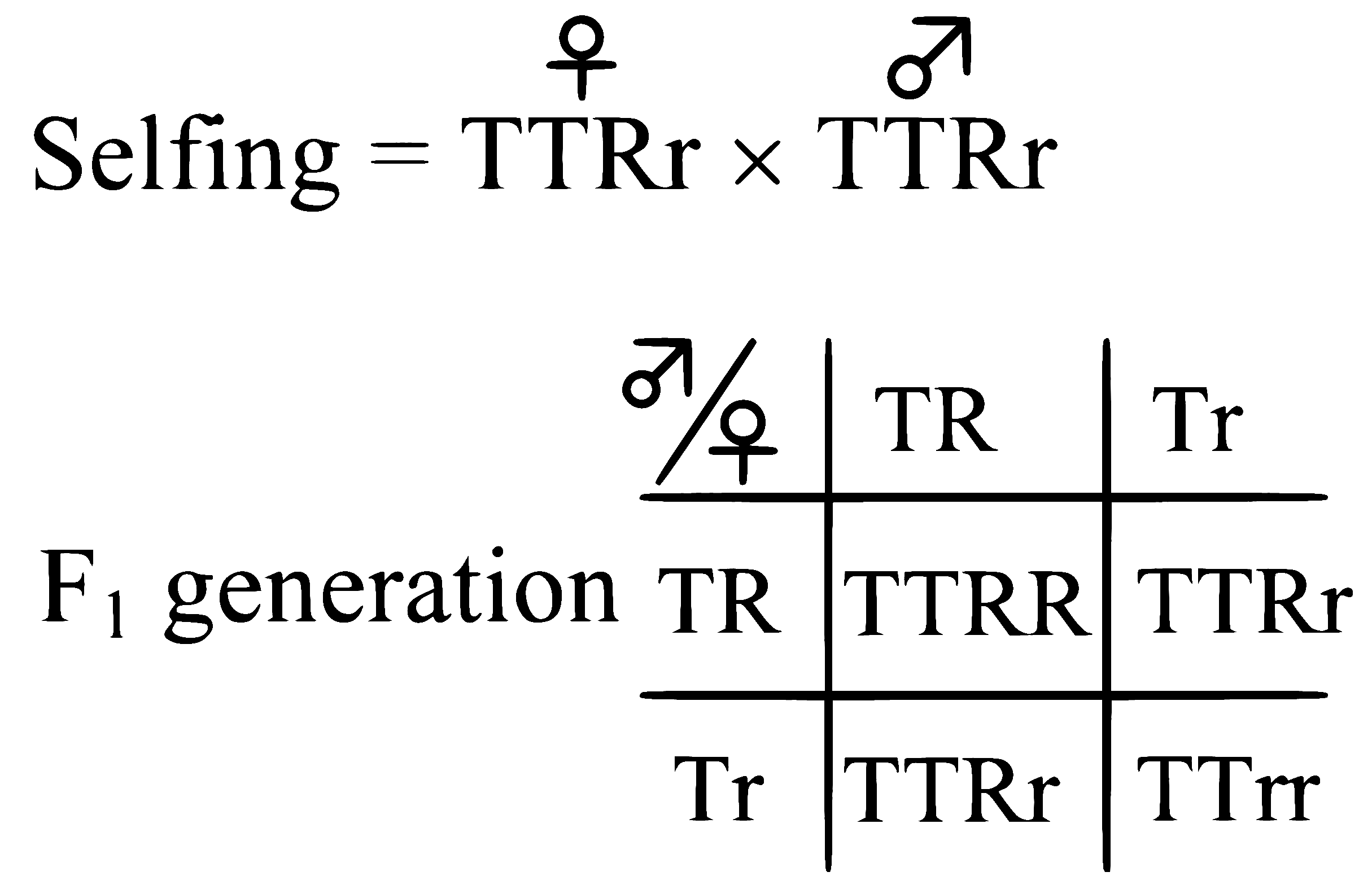 NEET 2024 (Re-Examination) Biology - Principles of Inheritance and Variation Question 12 English Explanation