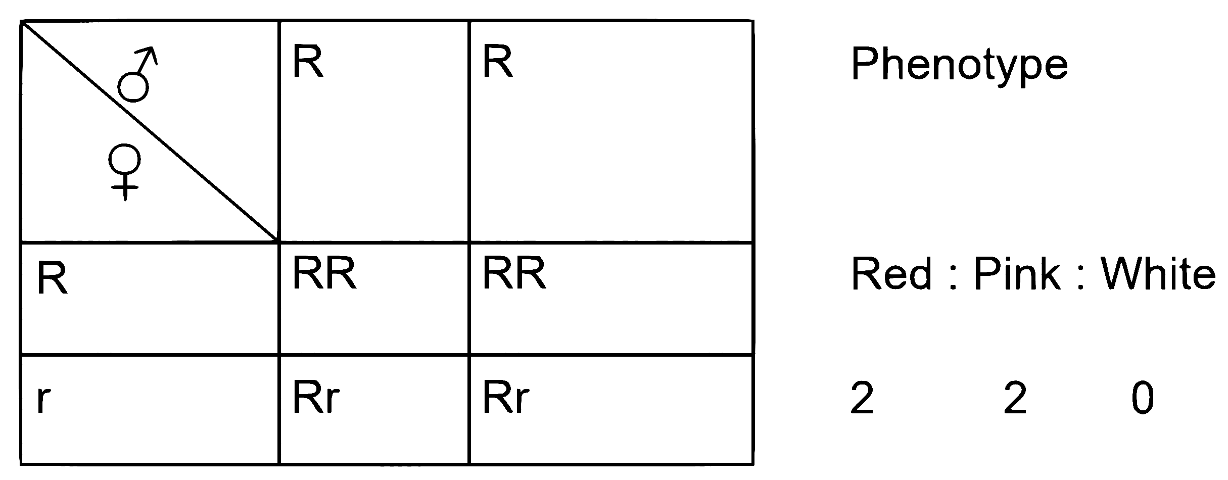 NEET 2024 Biology - Principles of Inheritance and Variation Question 17 English Explanation