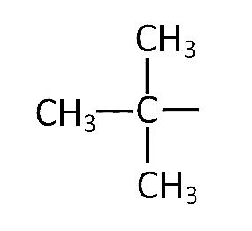 NEET 2013 Chemistry - Some Basic Concepts of Organic Chemistry Question 87 English Option 2