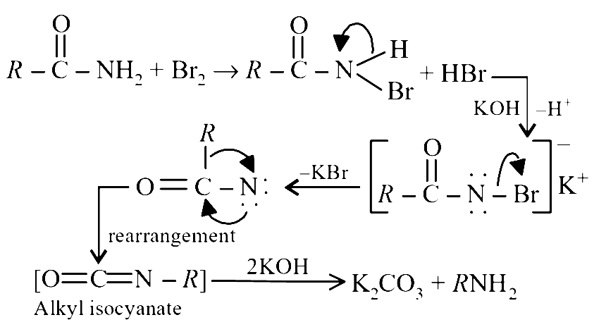 AIPMT 2001 Chemistry - Organic Compounds Containing Nitrogen Question 34 English Explanation