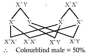 NEET 2014 Biology - Principles of Inheritance and Variation Question 156 English Explanation