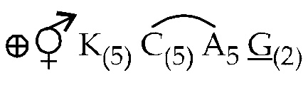AIPMT 2010 Mains Biology - Morphology of Flowering Plants Question 41 English Explanation