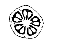 AIPMT 2011 Mains Biology - Morphology of Flowering Plants Question 39 English Option 2