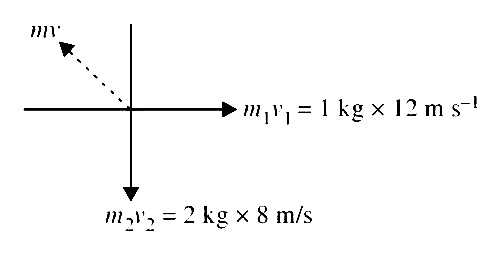 AIPMT 2009 Physics - Center of Mass and Collision Question 29 English Explanation