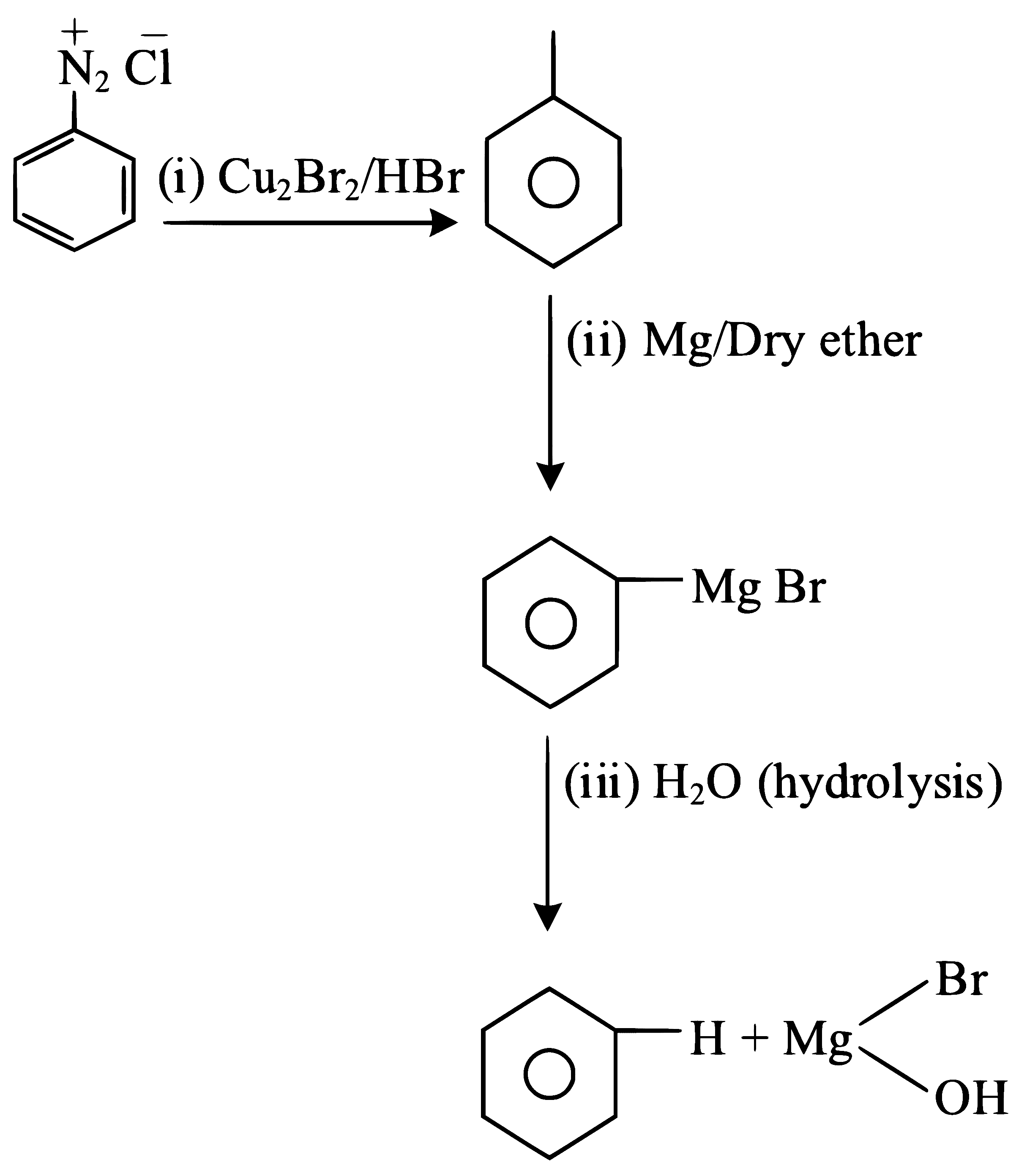 NEET 2023 Chemistry - Organic Compounds Containing Nitrogen Question 13 English Explanation