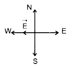NEET 2013 Physics - Moving Charges and Magnetism Question 69 English Explanation