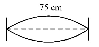 AIPMT 2015 Physics - Waves Question 55 English Explanation