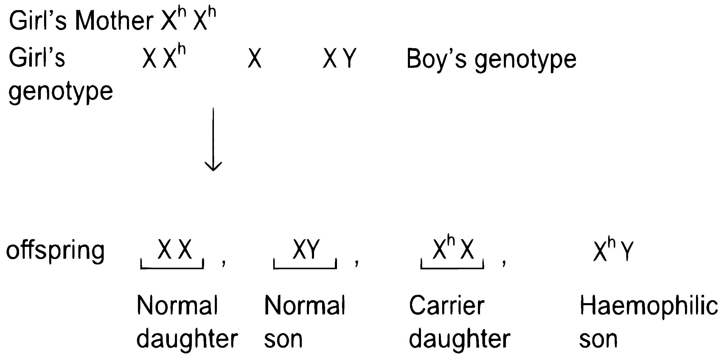 NEET 2022 Phase 2 Biology - Principles of Inheritance and Variation Question 35 English Explanation