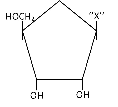 AIPMT 2012 Prelims Biology - Biomolecules Question 83 English