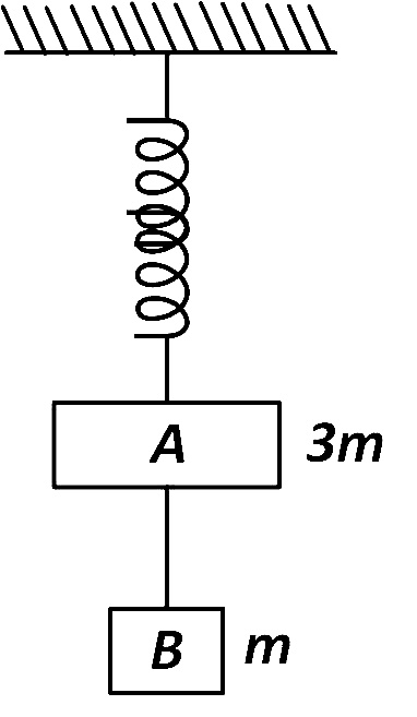 NEET 2017 Physics - Laws of Motion Question 29 English