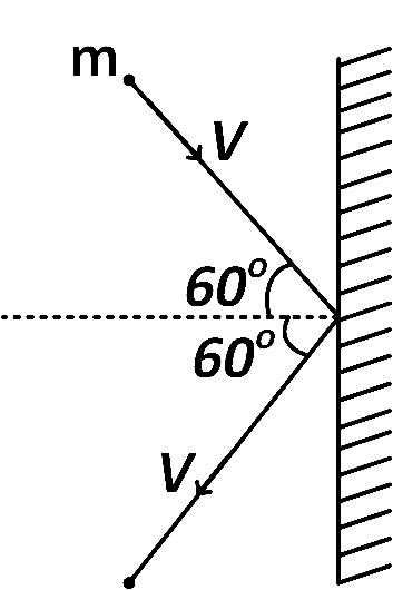 NEET 2016 Phase 2 Physics - Center of Mass and Collision Question 36 English
