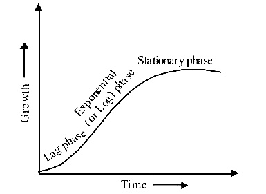 AIPMT 2015 Cancelled Paper Biology - Plant Growth and Development Question 71 English Explanation