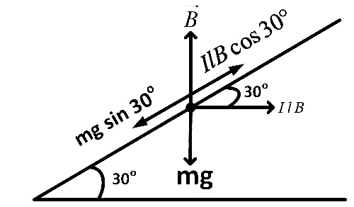 NEET 2018 Physics - Moving Charges and Magnetism Question 26 English Explanation