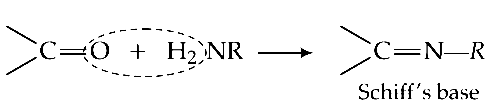NEET 2016 Phase 1 Chemistry - Organic Compounds Containing Nitrogen Question 51 English Explanation