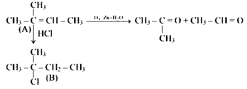 NEET 2019 Chemistry - Hydrocarbons Question 17 English Explanation