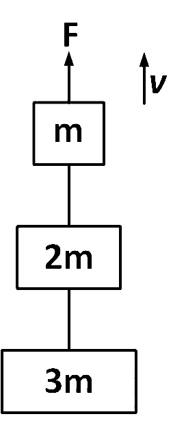 NEET 2013 Physics - Laws of Motion Question 25 English