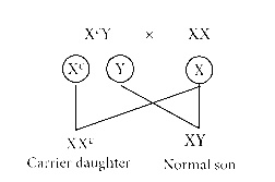 NEET 2015 Biology - Principles of Inheritance and Variation Question 161 English Explanation 1