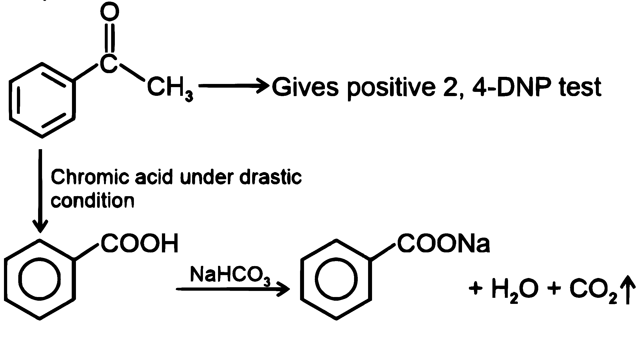 NEET 2026 Chemistry - Aldehydes, Ketones and Carboxylic Acids Question 4 English Explanation