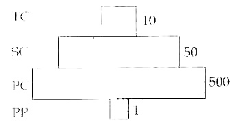 AIPMT 2012 Prelims Biology - Ecosystem Question 62 English