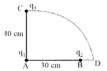 AIPMT 2005 Physics - Electrostatics Question 42 English