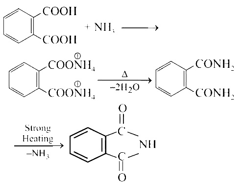 NEET 2019 Chemistry - Organic Compounds Containing Nitrogen Question 22 English Explanation