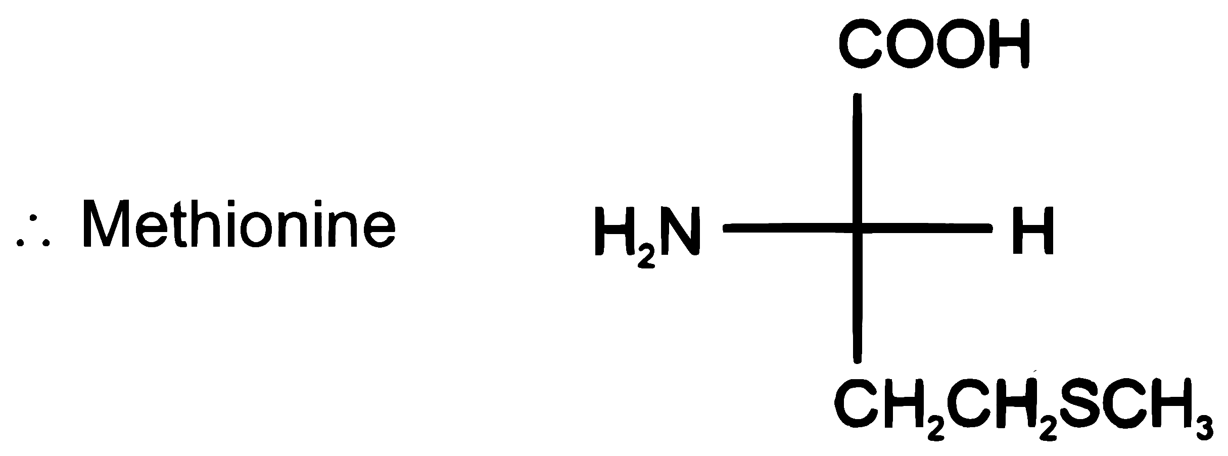 RE-NEET 2026 Chemistry - Biomolecules Question 1 English Explanation