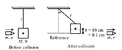 NEET 2016 Phase 2 Physics - Center of Mass and Collision Question 34 English Explanation