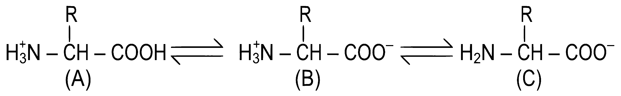 NEET 2022 Phase 2 Biology - Biomolecules Question 34 English Explanation
