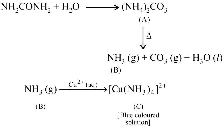 NEET 2020 Phase 1 Chemistry - Coordination Compounds Question 31 English Explanation