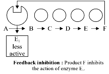 AIPMT 2000 Biology - Biomolecules Question 58 English Explanation
