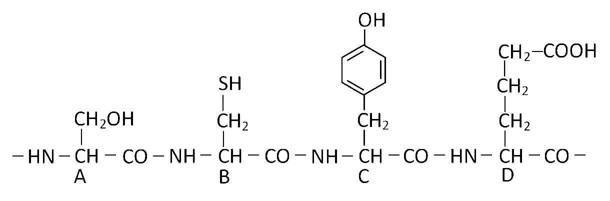 NEET 2013 (Karnataka) Biology - Biomolecules Question 86 English