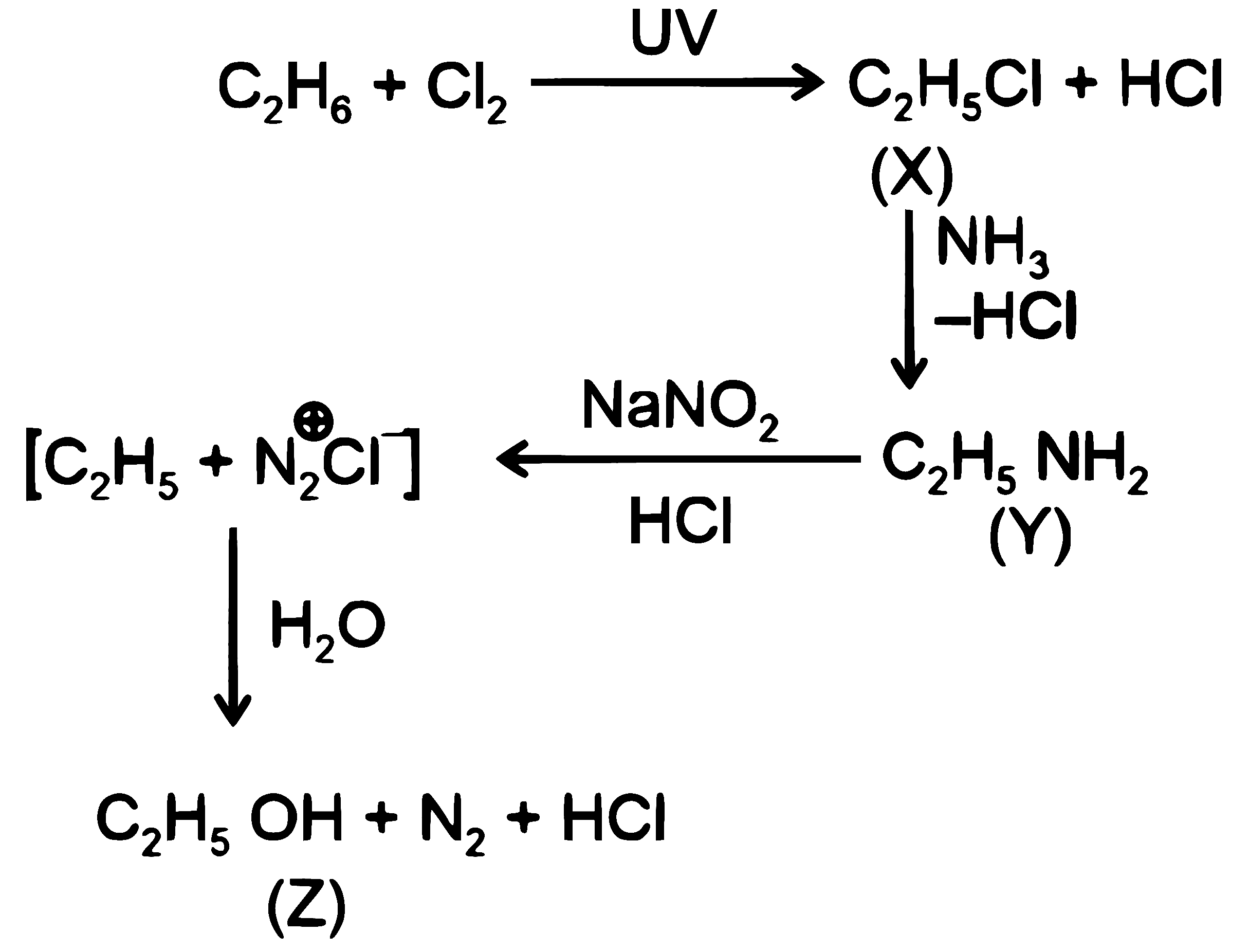 NEET 2026 Chemistry - Organic Compounds Containing Nitrogen Question 5 English Explanation