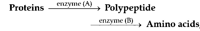 AIPMT 2006 Chemistry - Biomolecules Question 20 English