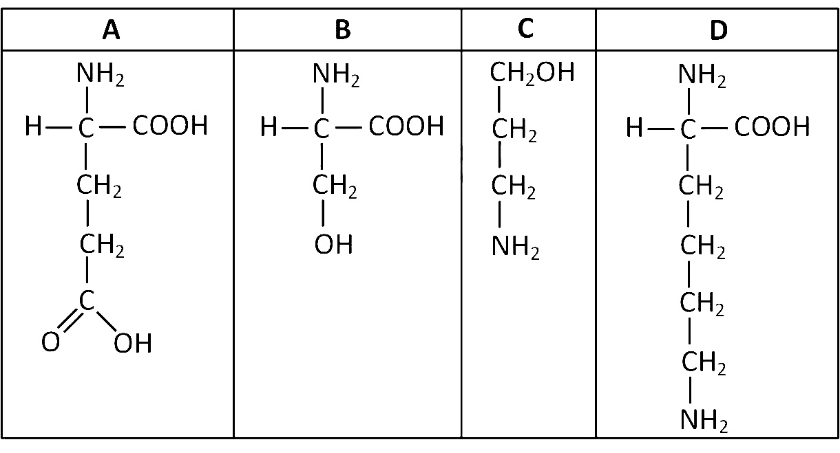 AIPMT 2012 Prelims Biology - Biomolecules Question 85 English