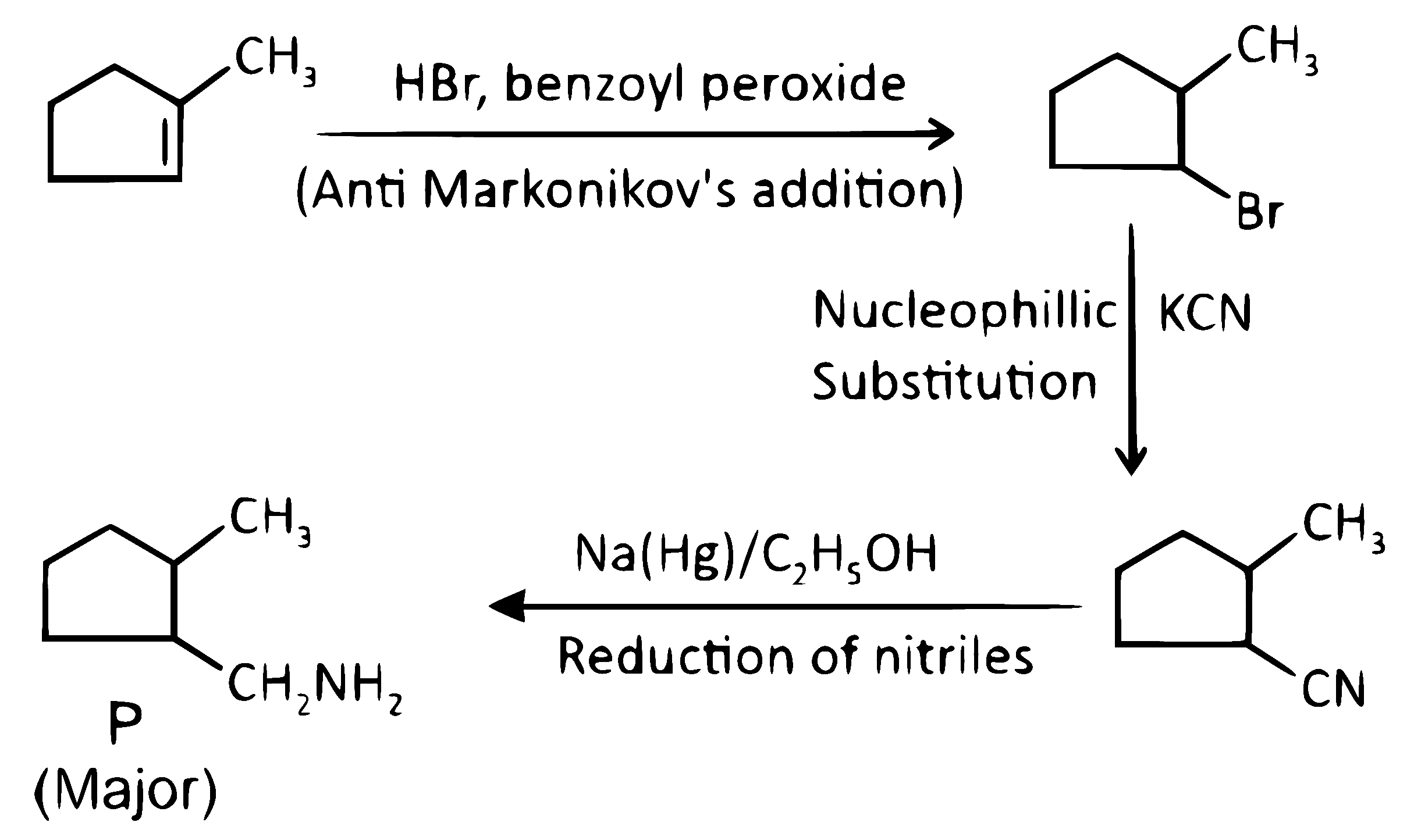 NEET 2025 Chemistry - Hydrocarbons Question 6 English Explanation