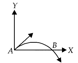 NEET 2013 Physics - Motion in a Plane Question 42 English