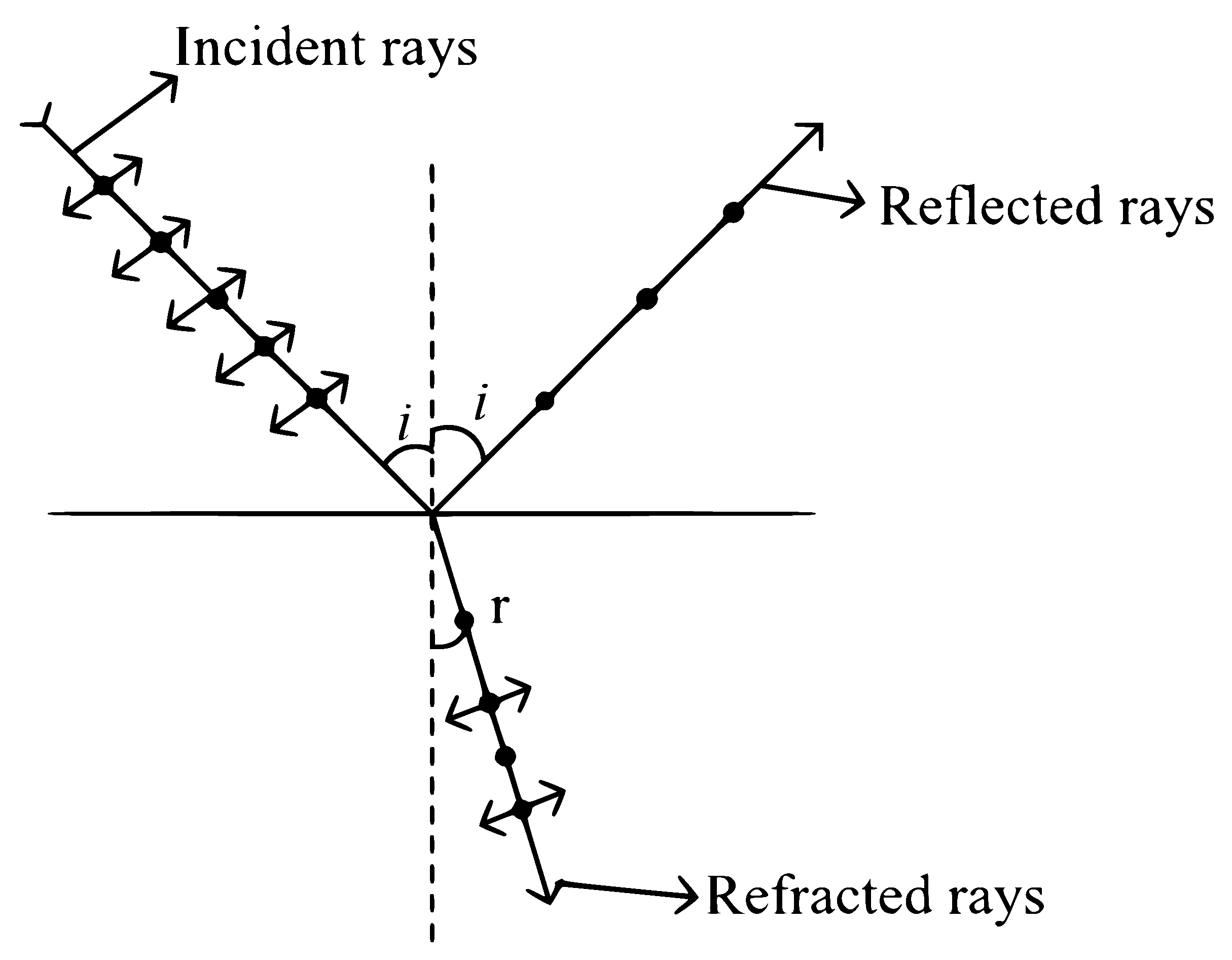 NEET 2024 Physics - Wave Optics Question 8 English Explanation