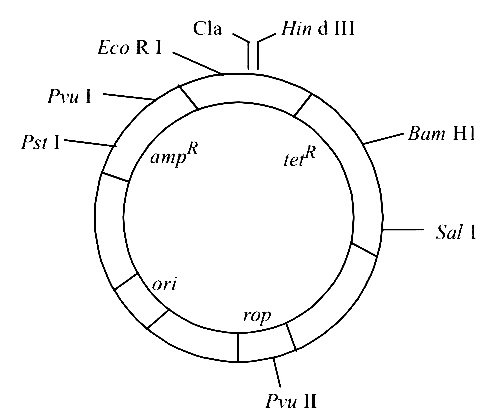 AIPMT 2012 Prelims Biology - Biotechnology: Principles and Processes Question 93 English