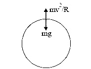 AIPMT 2008 Physics - Laws of Motion Question 40 English Explanation