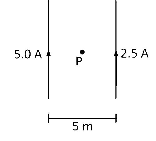 AIPMT 2000 Physics - Moving Charges and Magnetism Question 29 English