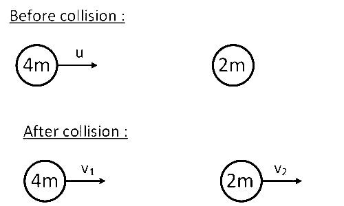 NEET 2019 Physics - Center of Mass and Collision Question 15 English Explanation