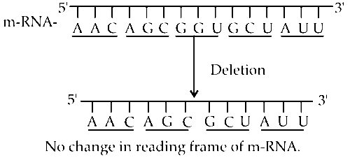 NEET 2019 Biology - Molecular Basis of Inheritance Question 81 English Explanation